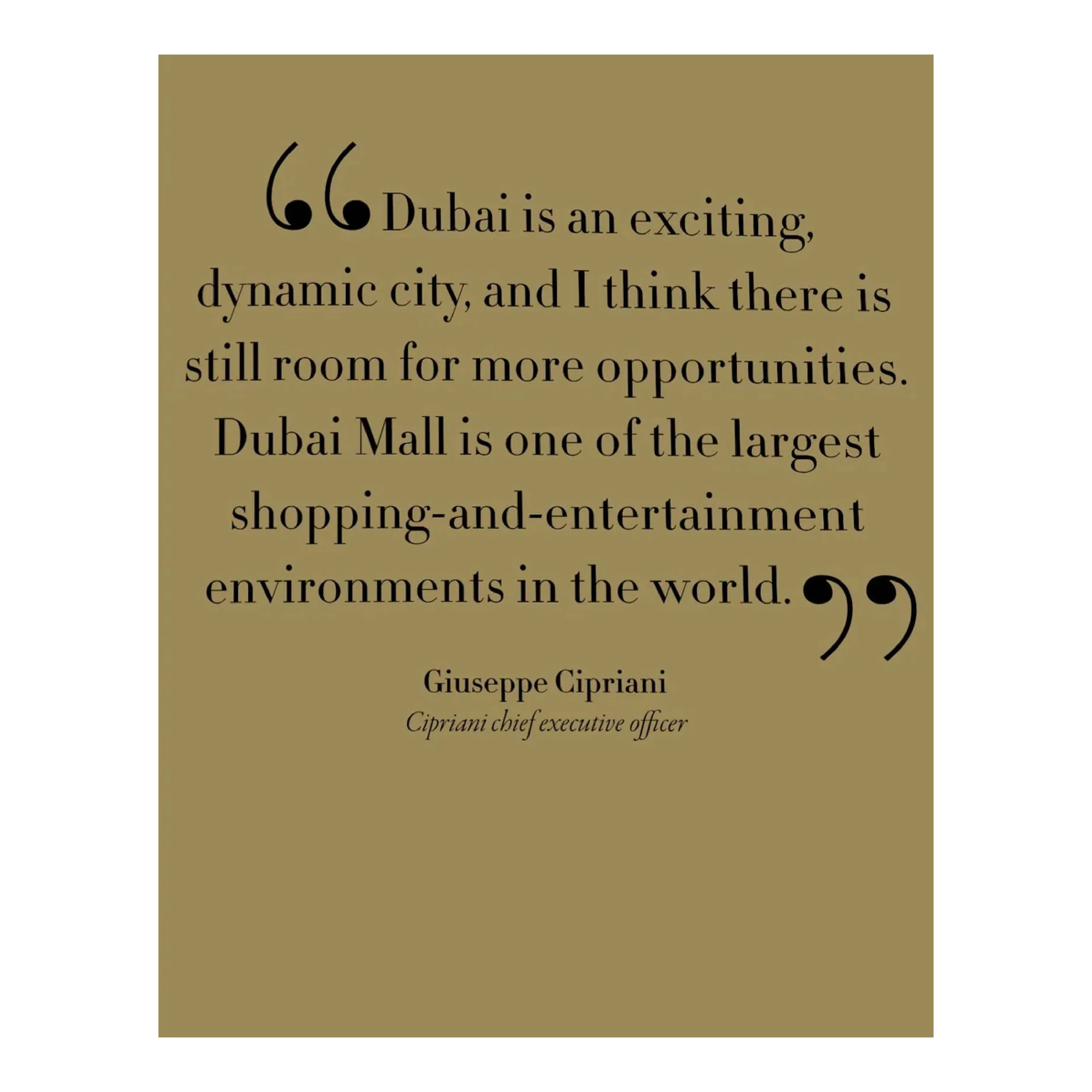 'Dubai Mall: A Mall Like No Other' Book | Sophia Serin