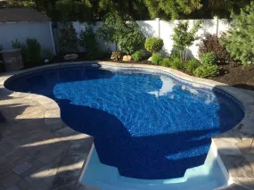 INGROUND FREE FORM POOL