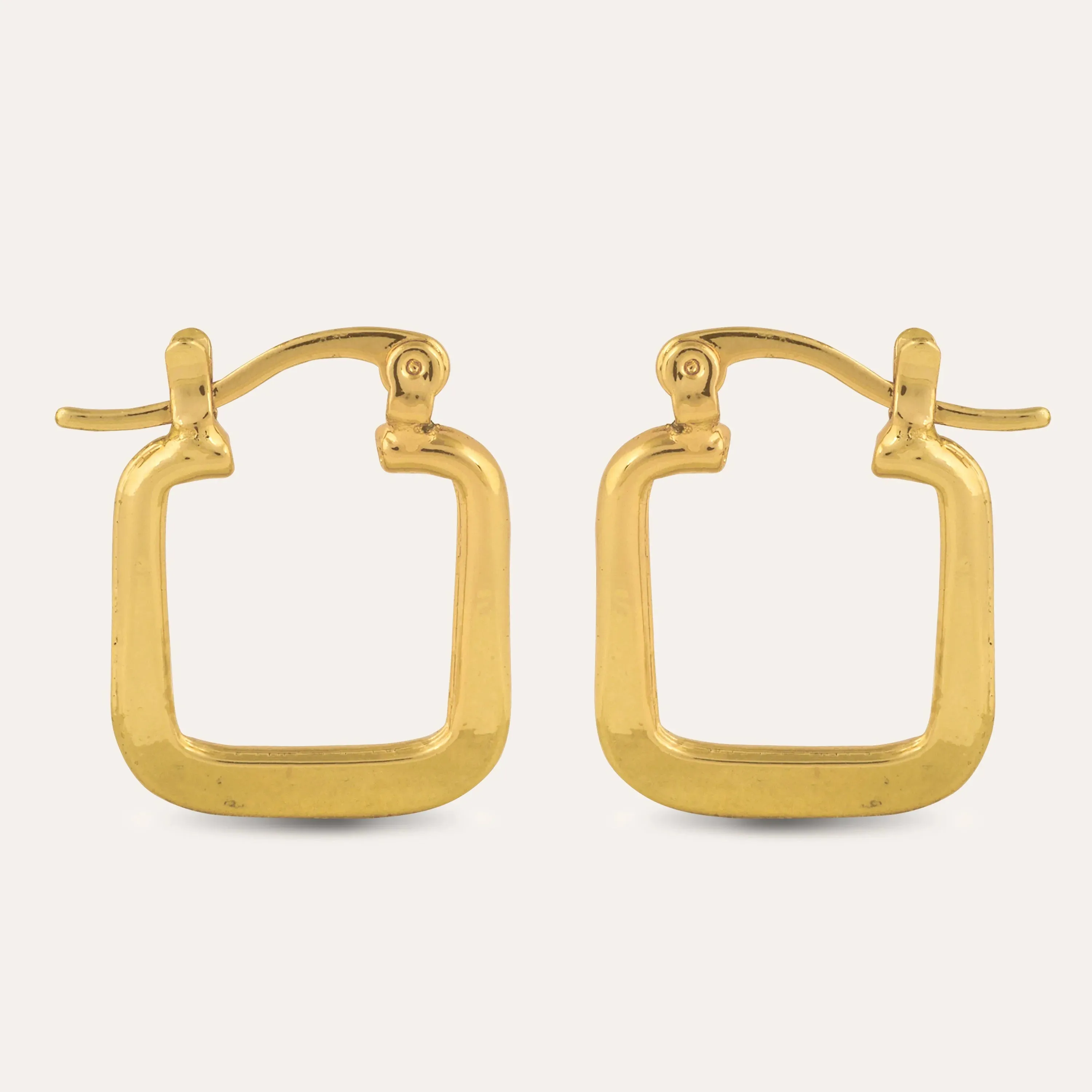 TFC Squared Honey Gold Plated Hoop Earrings